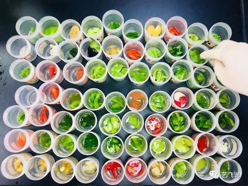 武漢節前農產品質量安全獲堅實保障，189批次抽檢結果全數合格