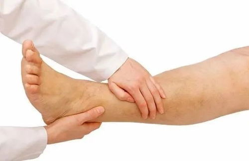 寧姐月嫂進社區，公益講座傳健康 唐山路社區經絡養生講座圓滿舉辦